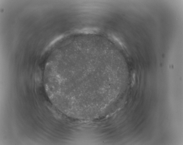 X0000082741158200702240005