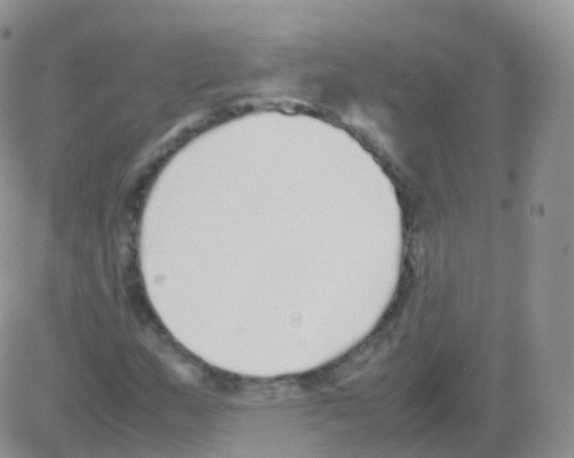 X0000082741159200702240005