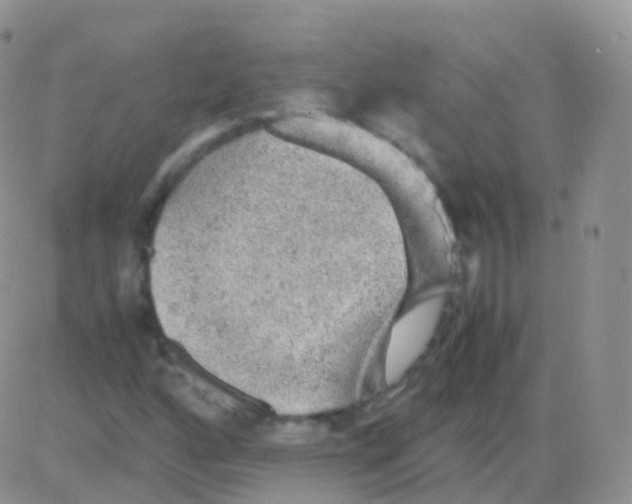 X0000082741160200702240005