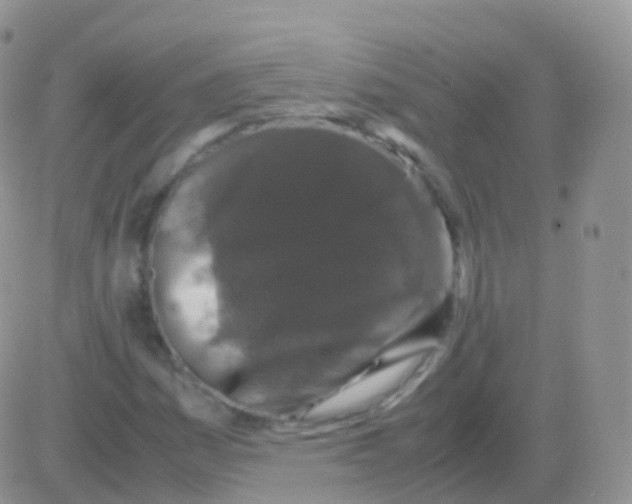 X0000082741161200702240005