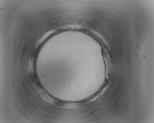 X0000082741162200702240005