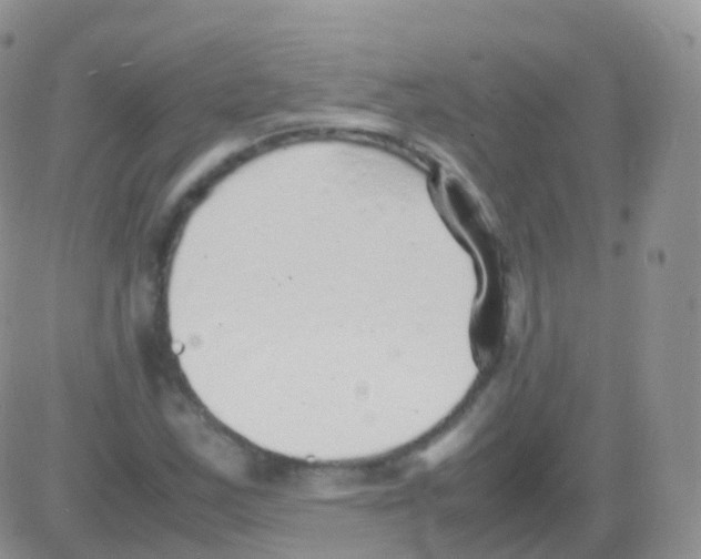 X0000082741163200702240005