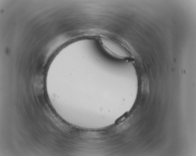 X0000082741164200702240005