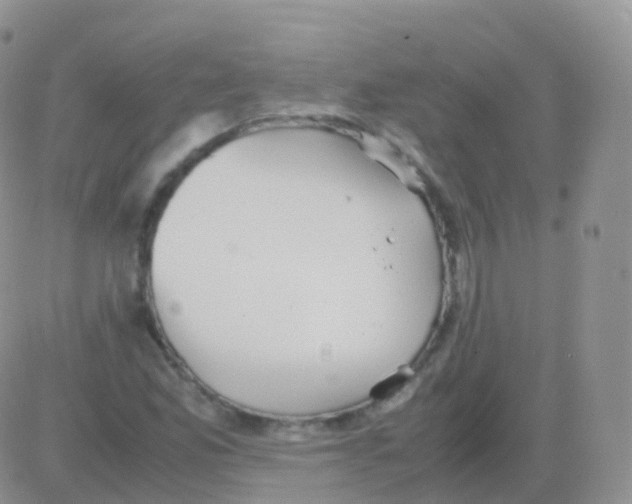 X0000082741165200702240005