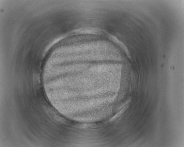 X0000082741166200702240005