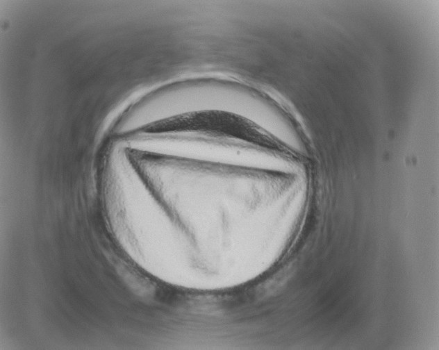 X0000082741167200702240005