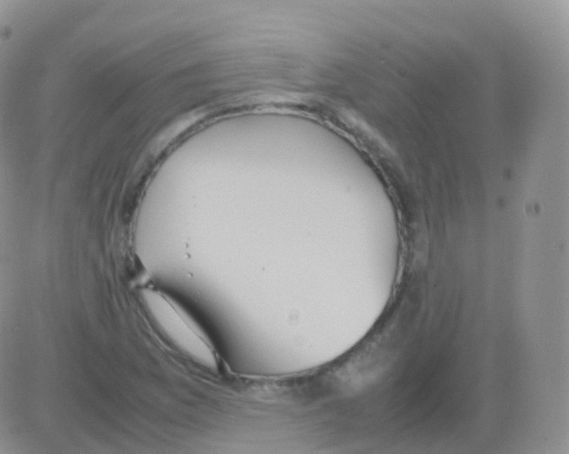 X0000082741169200702240005