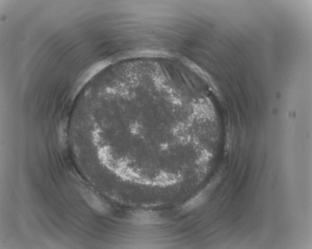 X0000082741170200702240005