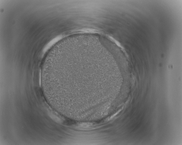 X0000082741171200702240005