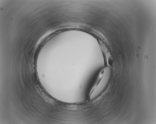 X0000082741172200702240005