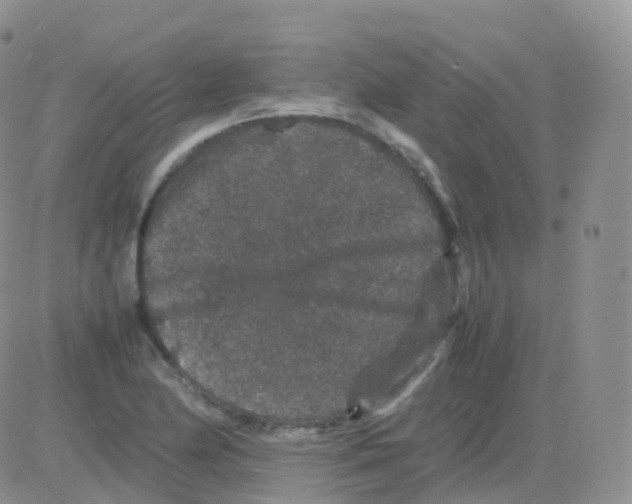 X0000082741174200702240005