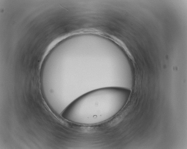 X0000082741176200702240005