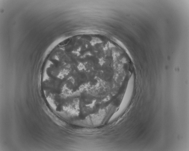 X0000082741179200702240005