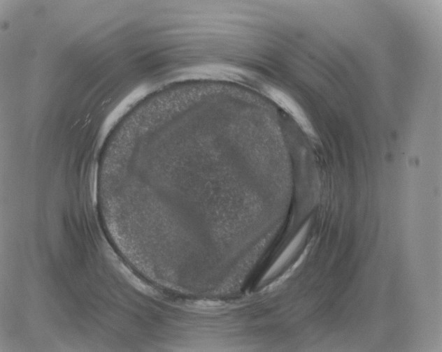 X0000082741180200702240005