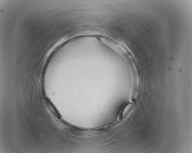 X0000082741181200702240005