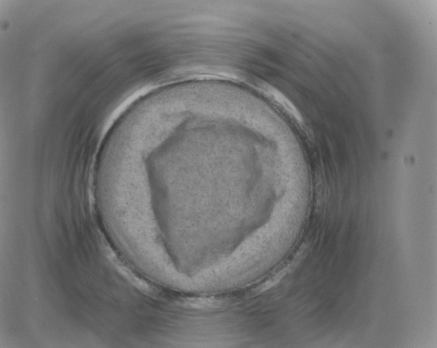 X0000082741182200702240005