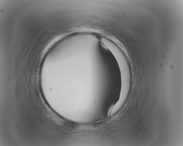 X0000082741183200702240005