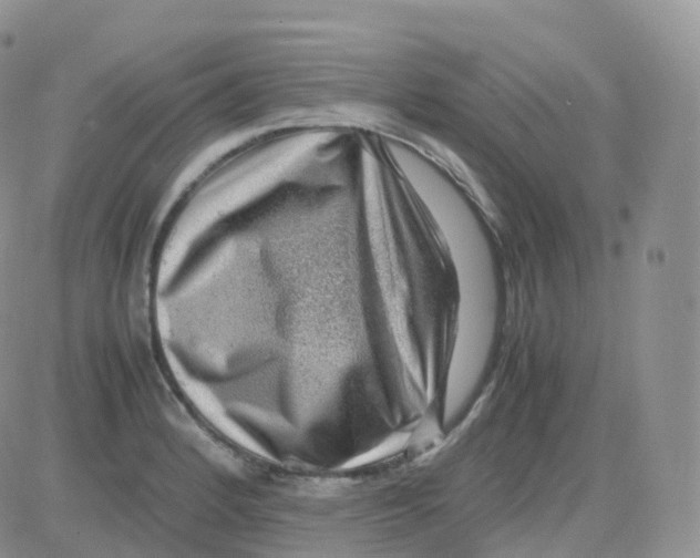 X0000082741184200702240005