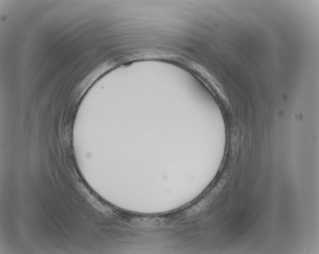 X0000082741185200702240005