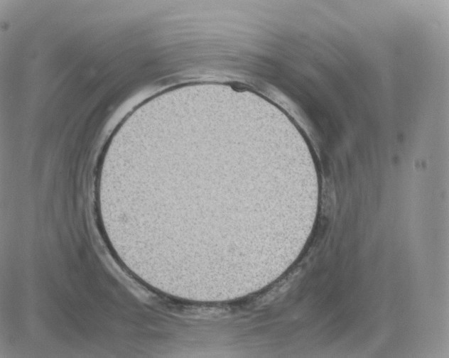 X0000082741187200702240005