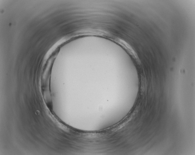 X0000082741188200702240005