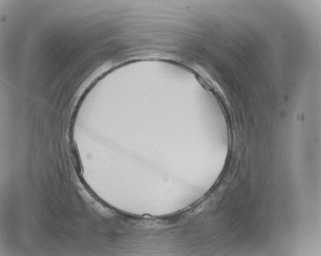 X0000082741189200702240005