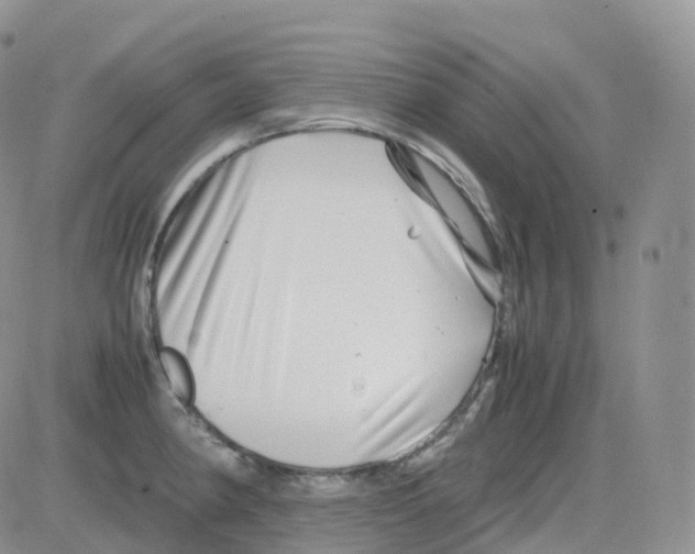 X0000082741190200702240005