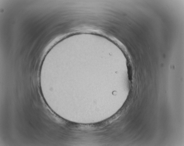 X0000082741191200702240005