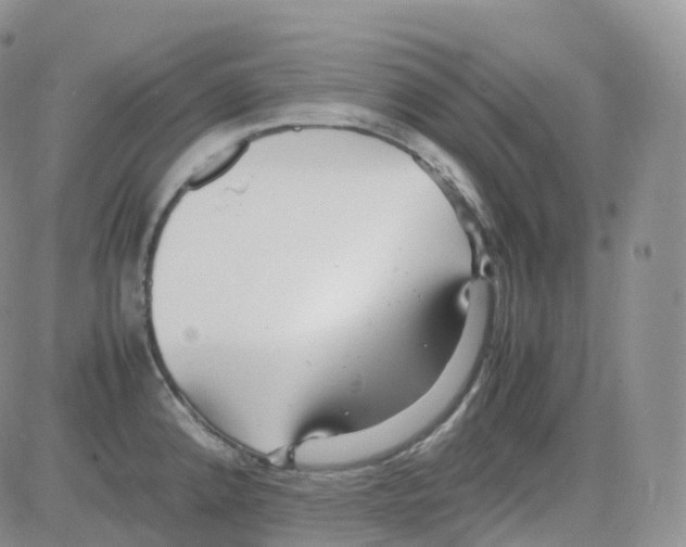 X0000082741192200702240005