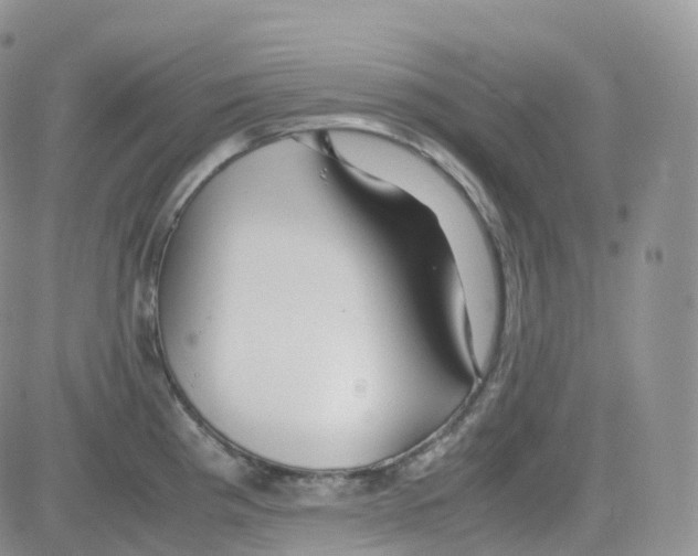 X0000082741193200702240005