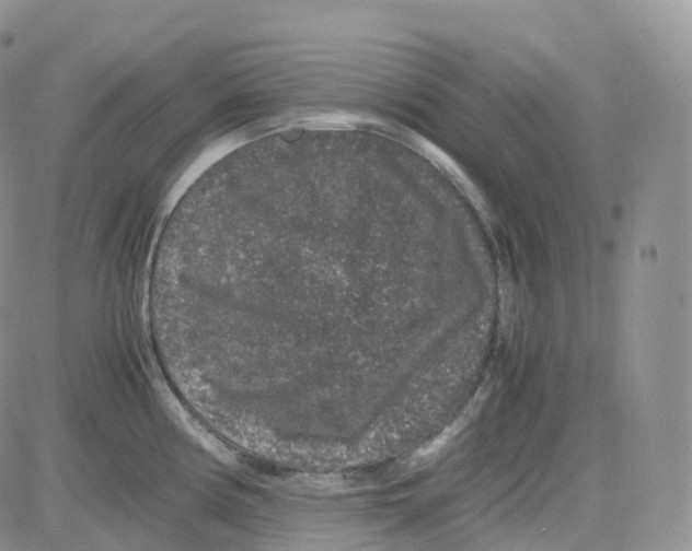 X0000082741194200702240005