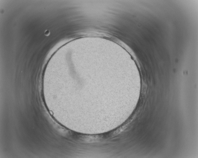 X0000082741195200702240005