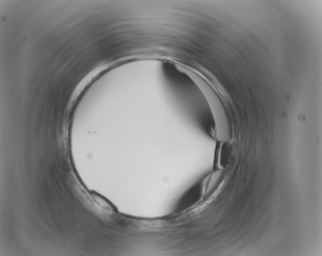 X0000082741196200702240005