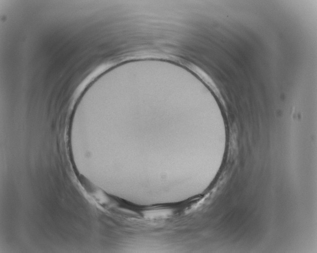 X0000082741197200702240005