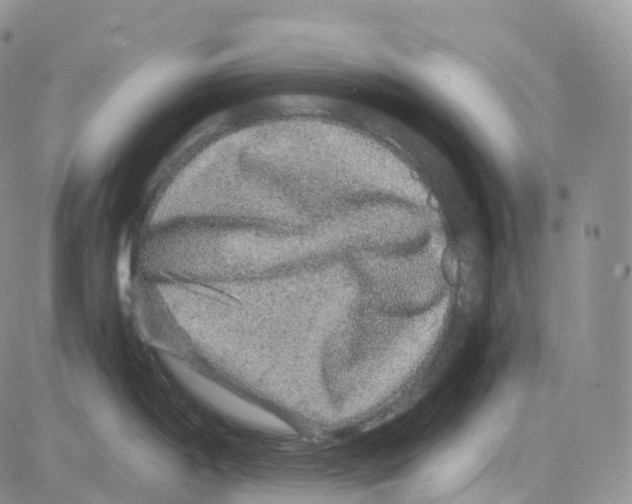 X0000082741198200702240005