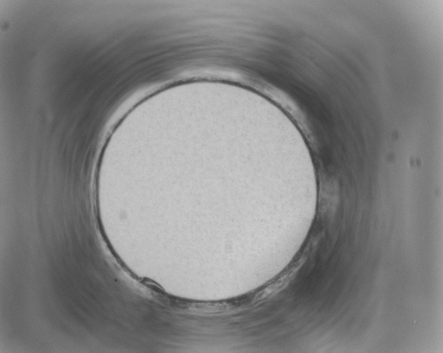 X0000082741199200702240005