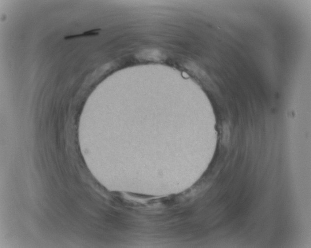 X0000082741201200702240004