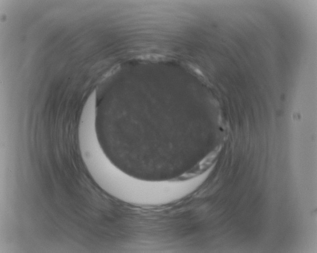 X0000082741202200702240004