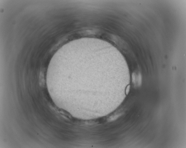 X0000082741203200702240004