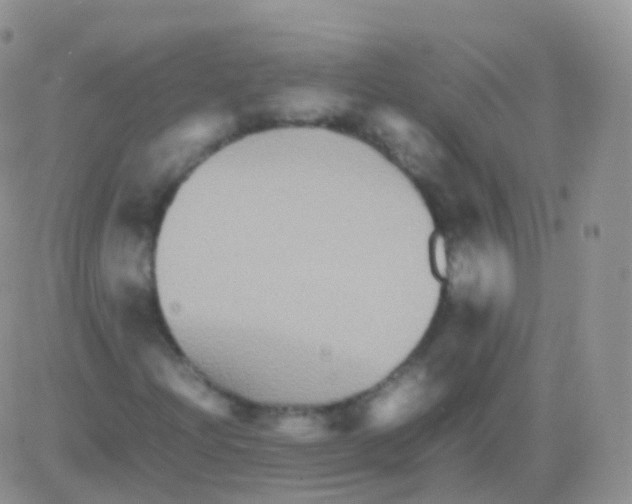 X0000082741204200702240004