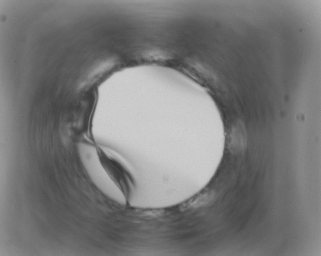 X0000082741205200702240004