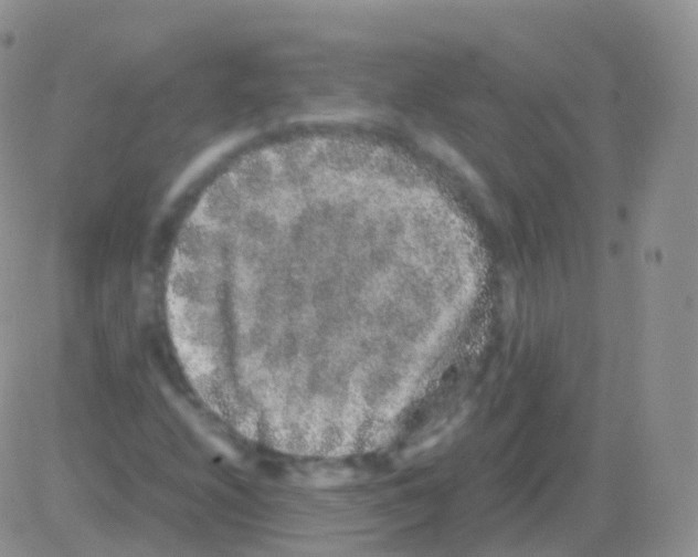 X0000082741208200702240004