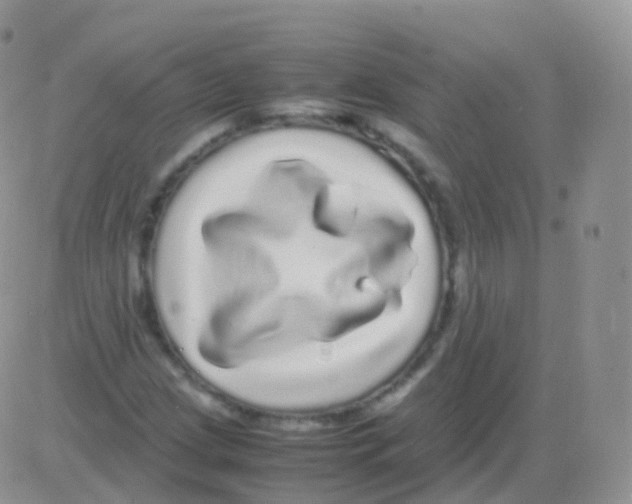 X0000082741209200702240004