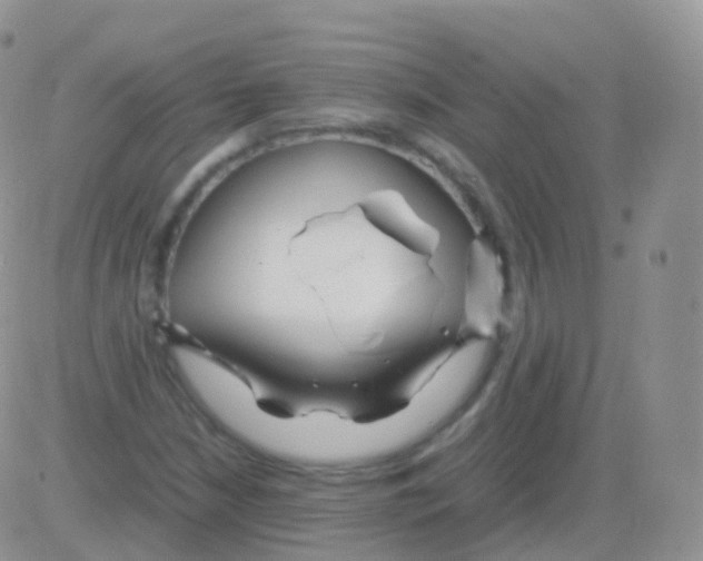 X0000082741210200702240004