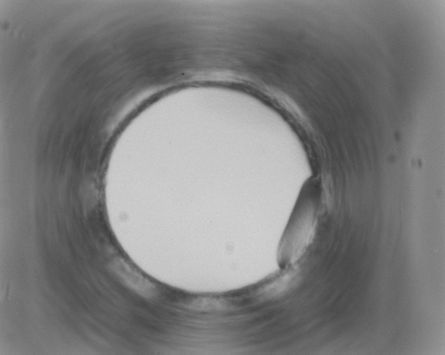 X0000082741212200702240004