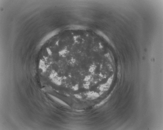 X0000082741213200702240004