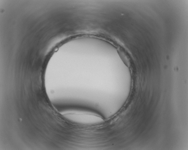 X0000082741214200702240004