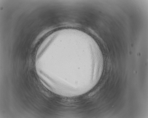 X0000082741215200702240004