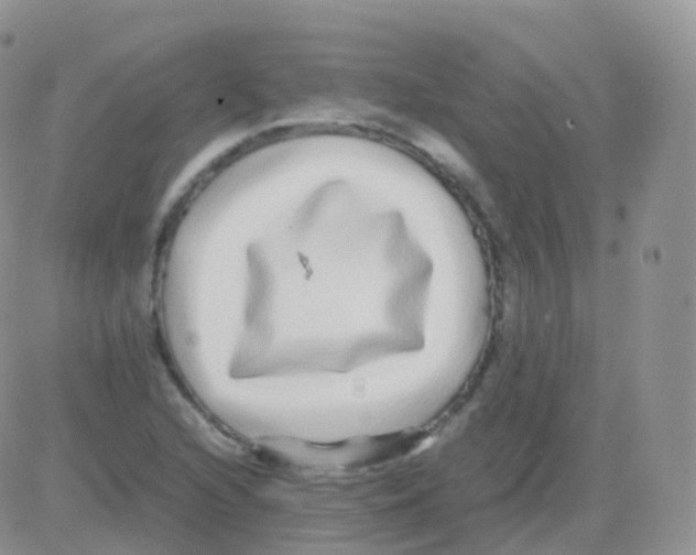 X0000082741216200702240004