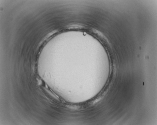 X0000082741217200702240004